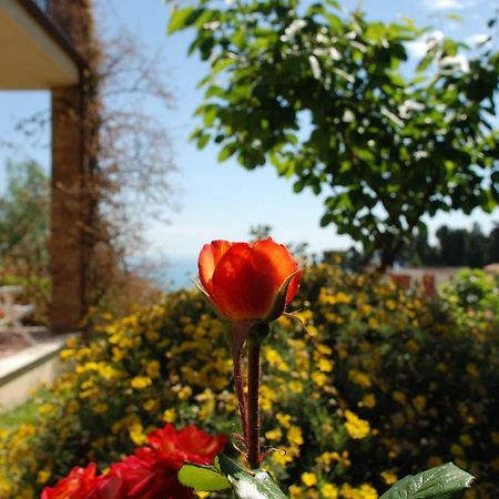 Bed & Breakfast Latteletto Tortoreto Εξωτερικό φωτογραφία