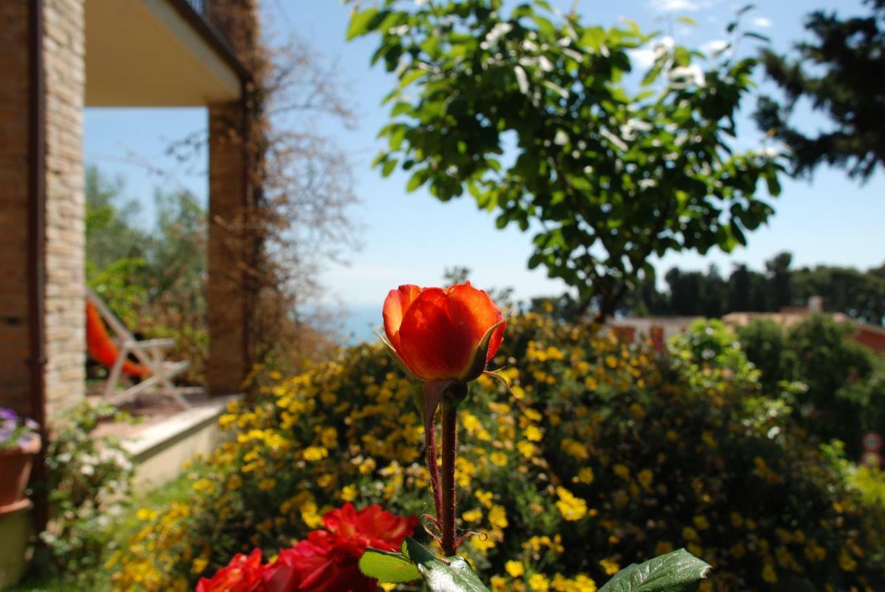 Bed & Breakfast Latteletto Tortoreto Εξωτερικό φωτογραφία
